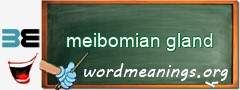 WordMeaning blackboard for meibomian gland